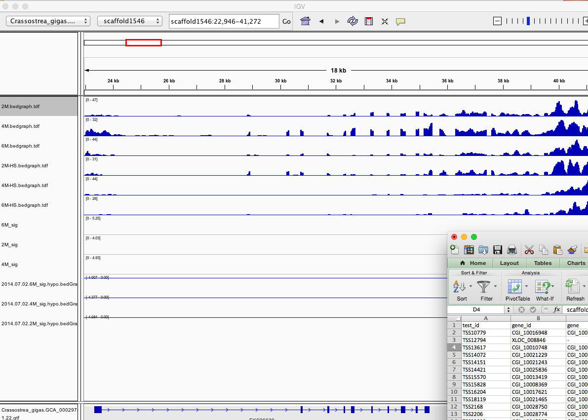 splicing_diff_and_IGV_and_Fibrocystin-L_-_Google_Search_and_splicing_diff_1AD2E085.png