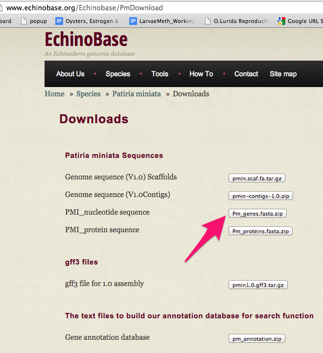 Downloads___EchinoBase_19D1CFB5.png