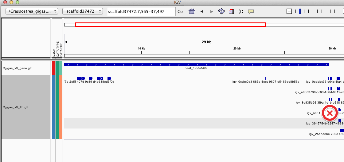 IGV_and_Genome_Feature_Tracks_·_sr320_qdod_Wiki_19D46FDF.png