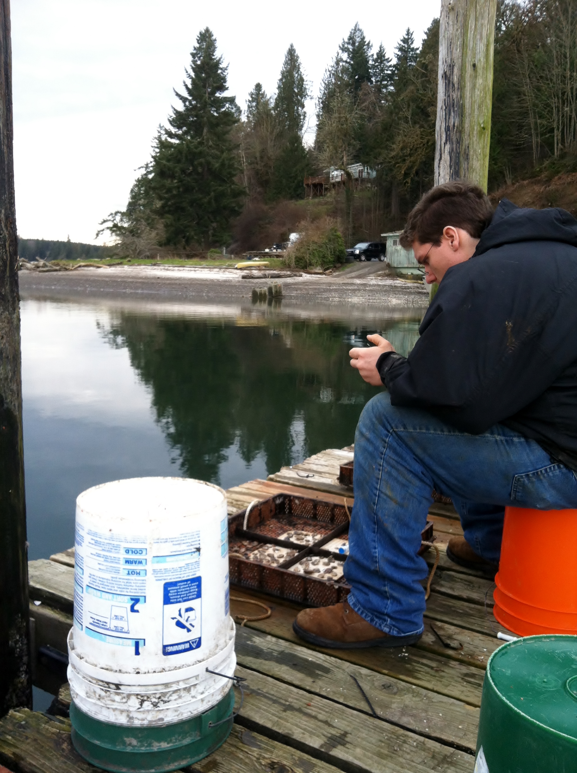 Jake counting oysters, a storied tradition from years of working with bivalves. 