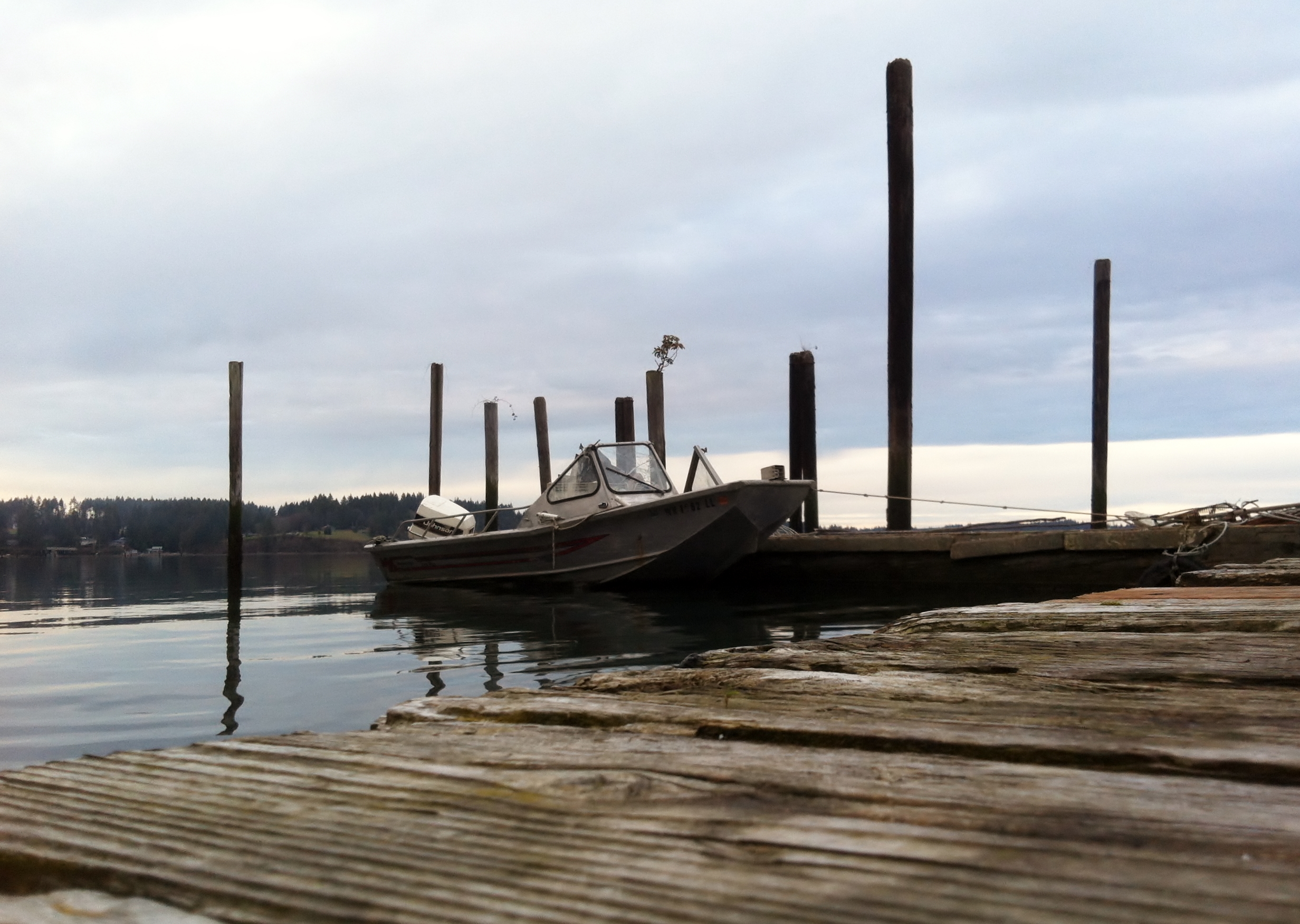 Beautiful deck top shot (all photos taken by L. Christine Savolainen)