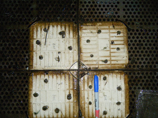 Example of Tray where Tile Markers are still visible.