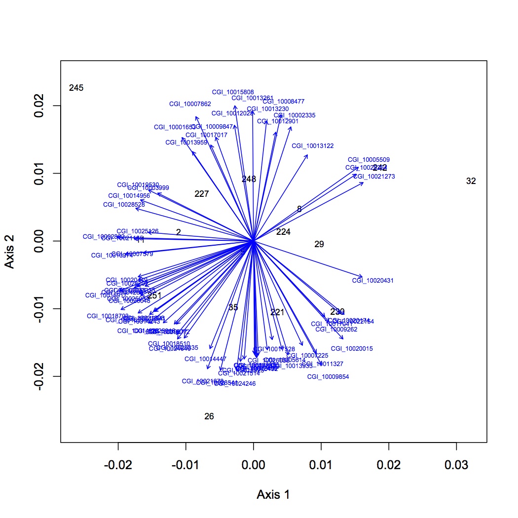 external image NMDS%20no%20low%20abundance%20120712.jpg