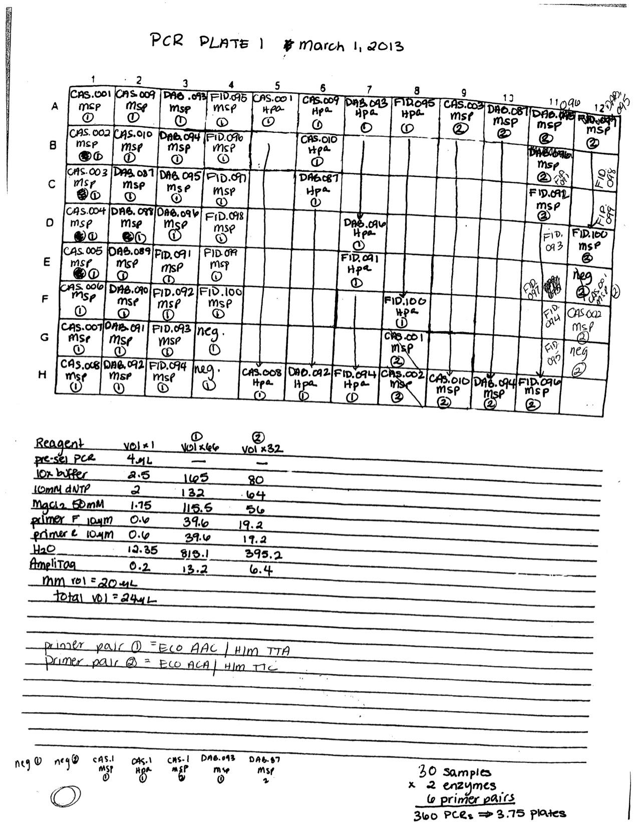 external image Oly%20Epigenetics%20PCR%20plate%201%20030113.jpg