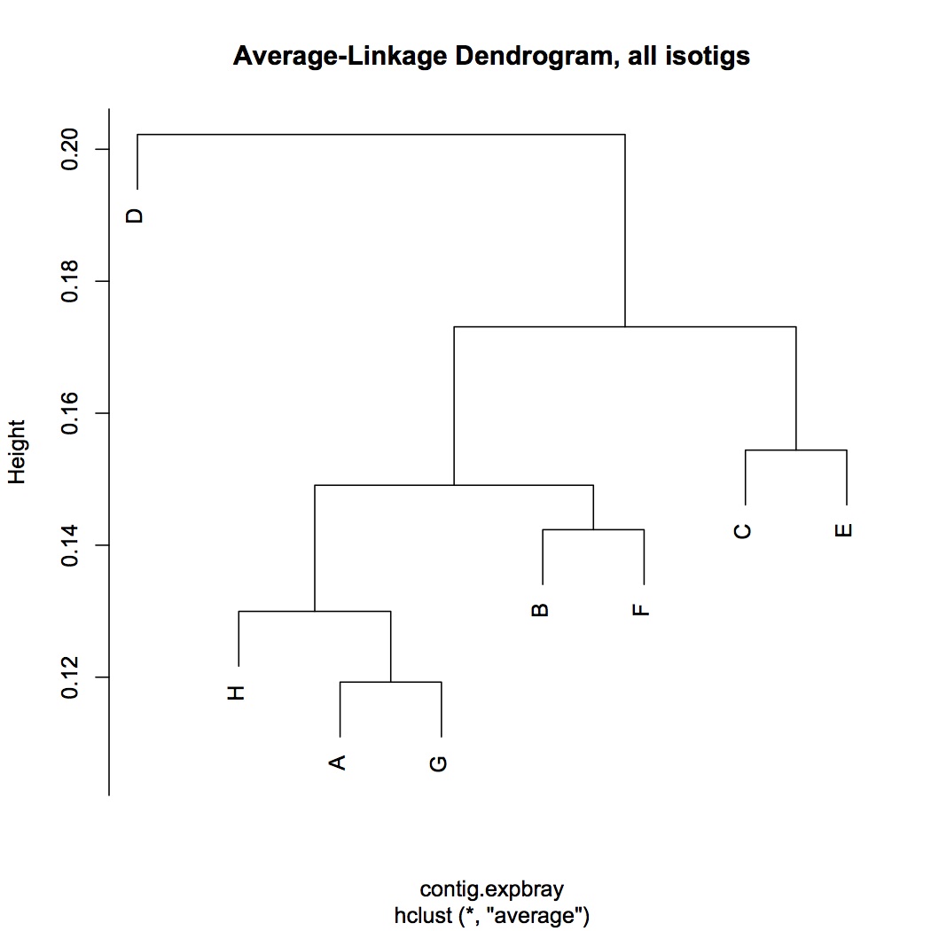 external image average-linkage%20dend,%20all%20isotigs%20121312.jpg