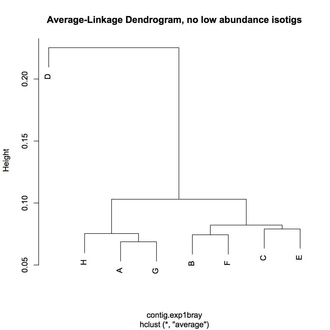 external image avg-linkage%20dend,%20no%20low%20abundance%20isotigs%20121312.jpg