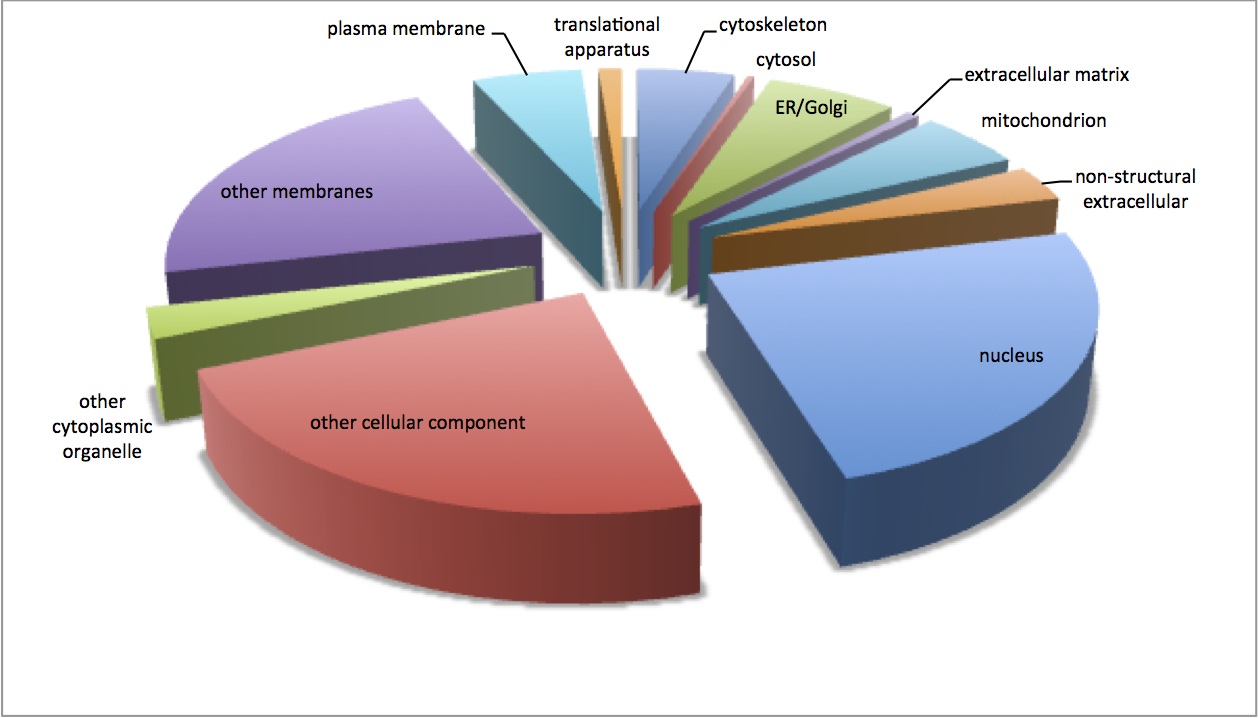 external image cellular%20component%20pie.jpg