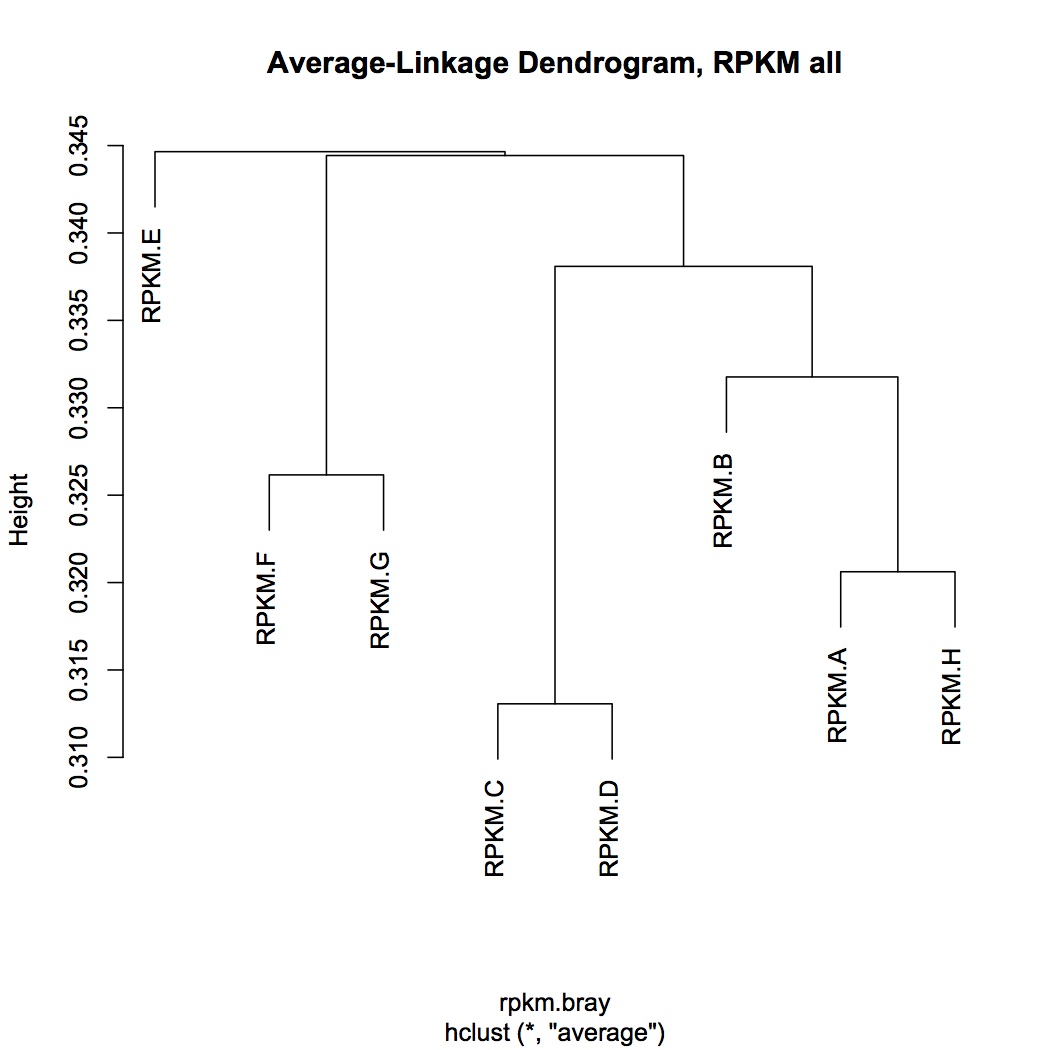 external image dendrogram%20rpkm%20all%20010413.jpg