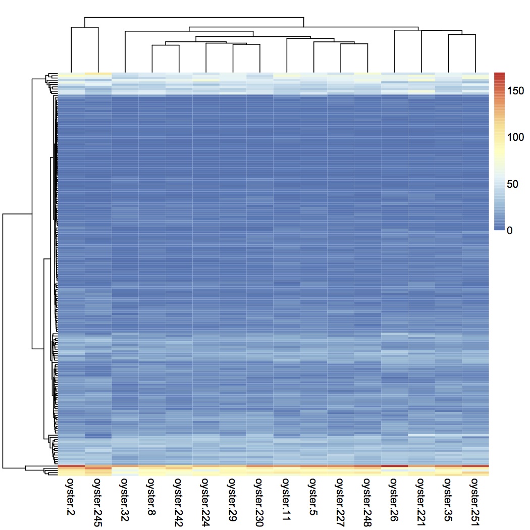 external image heat%20map%20oysters%20on%20top%20020113.jpg