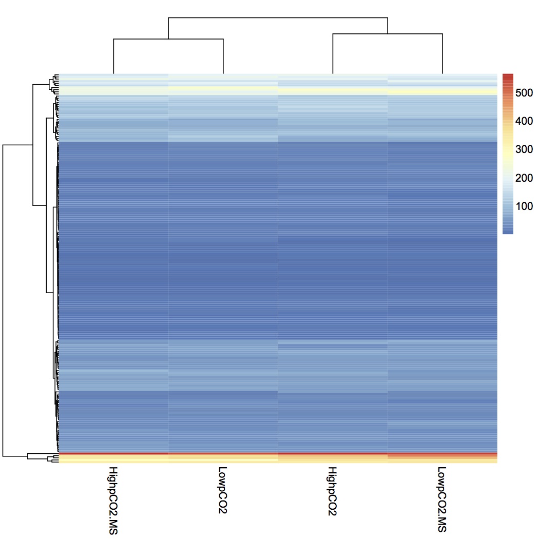 external image heat%20map%20treatment%20groups%20020113.jpg