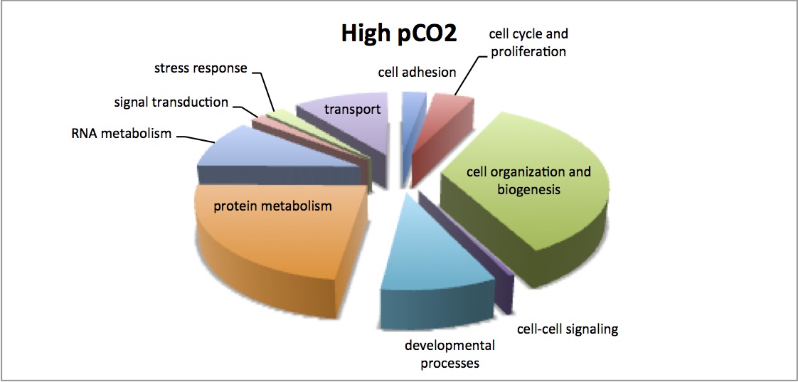 external image high%20pco2%20enriched%20in%20MS.jpg