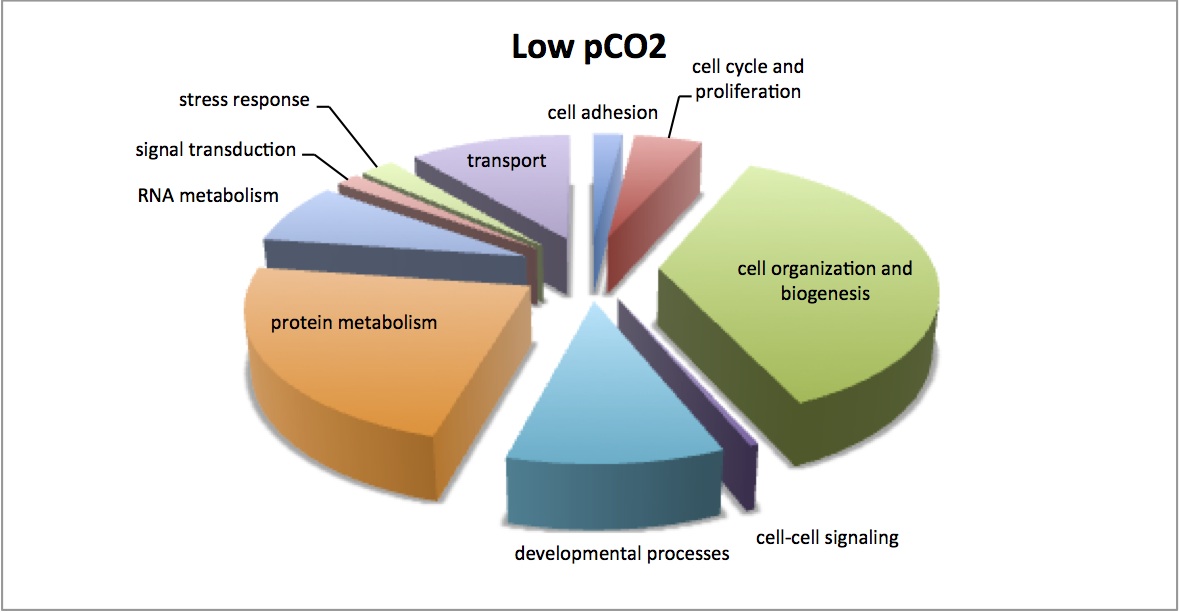 external image low%20pco2%20enriched%20response%20to%20MS.jpg