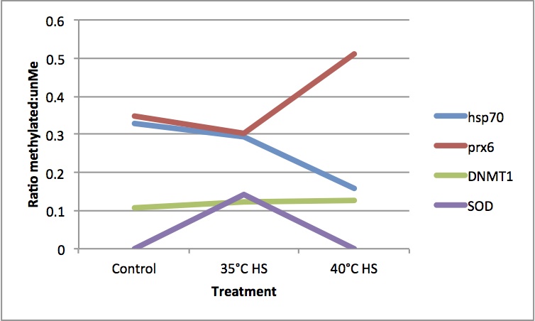 external image medip%20Me%20vs%20unMe.jpg