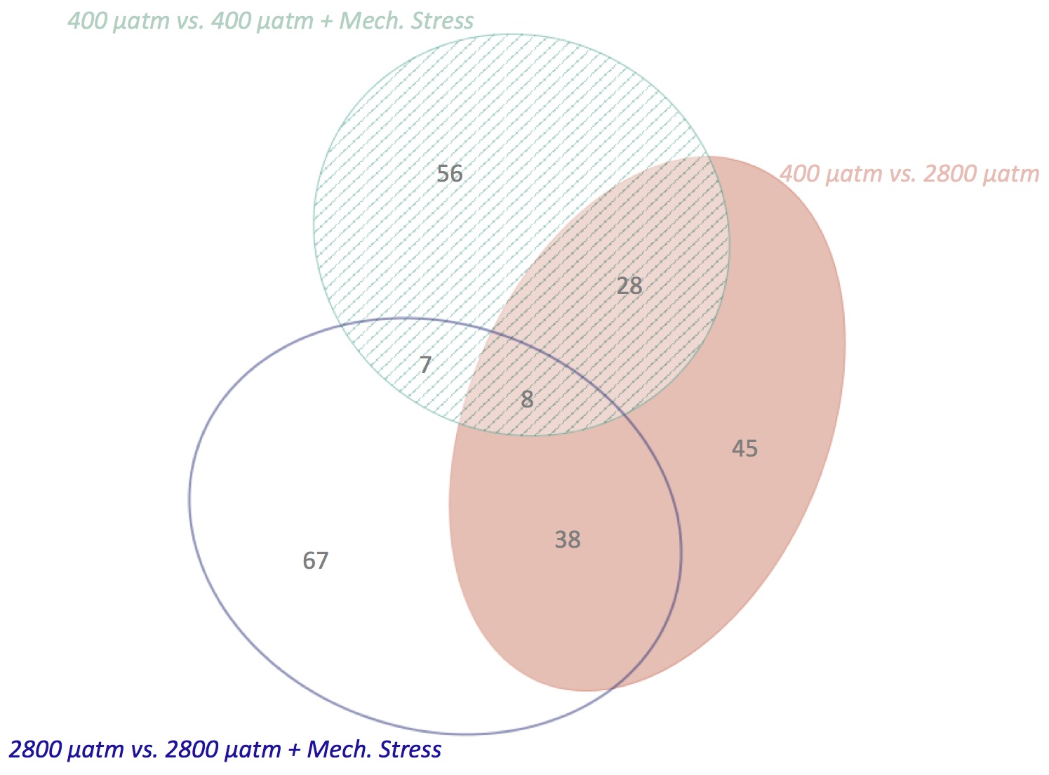 external image 5-fold%20venn.jpg