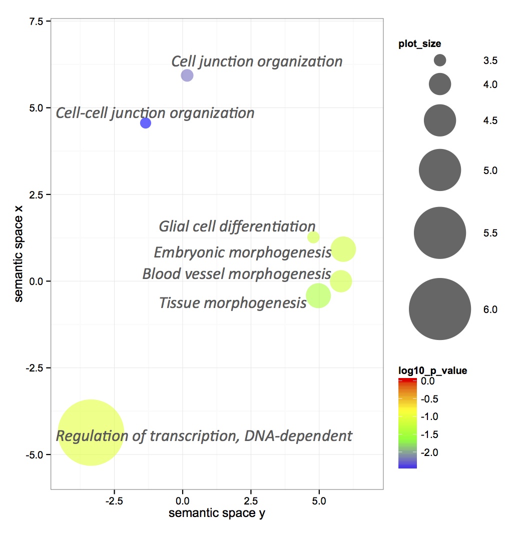 external image OA%20response%205%20fold%20proteins%20enrichment.jpg