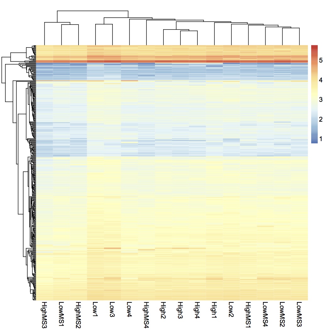 external image skyline%20heat%20map%20by%20protein%20021413.jpg