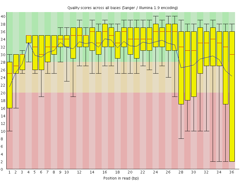 Per base quality graph