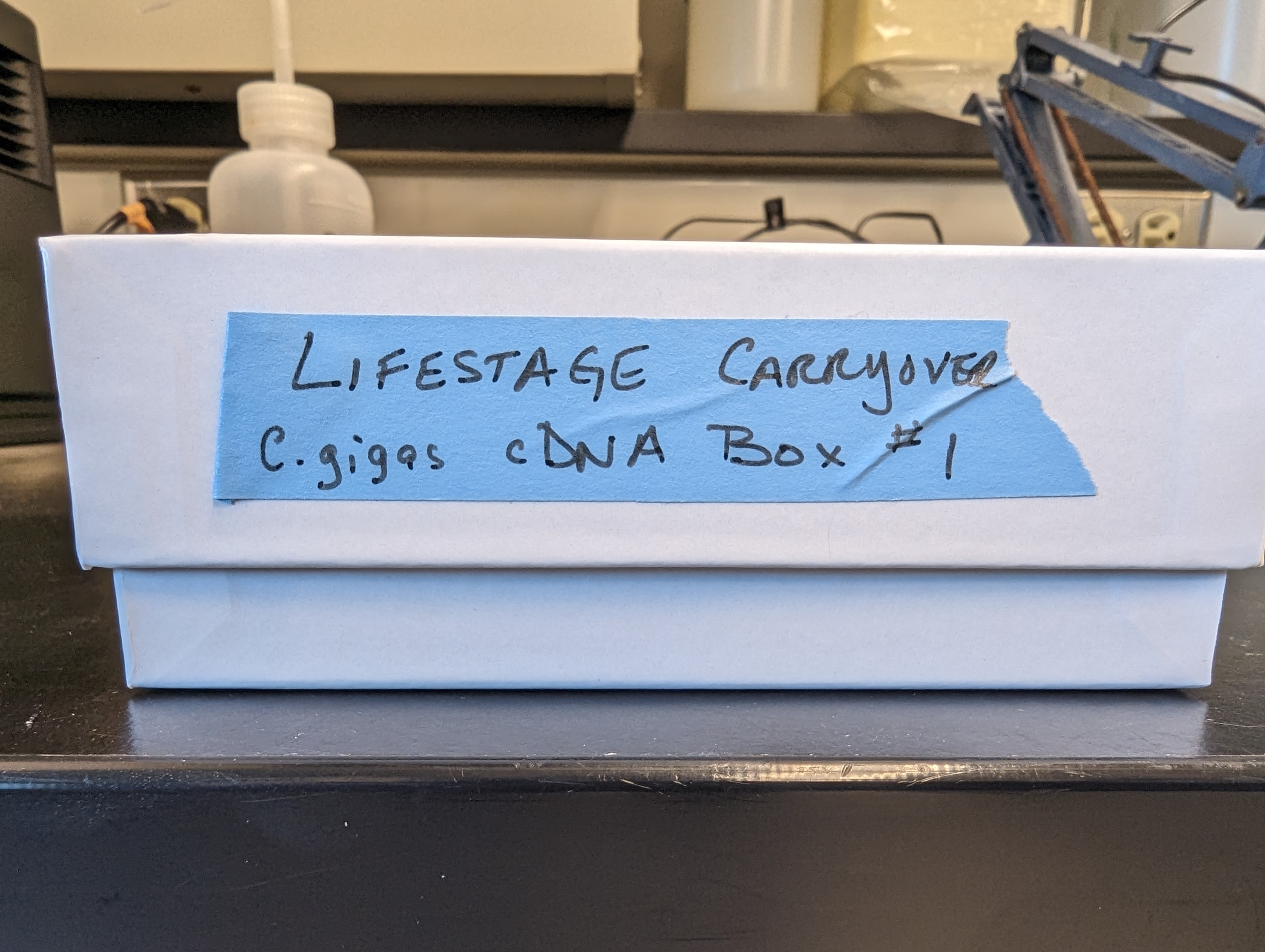Box with blue label: Lifestage Carryover, C.gigas cDNA Box #1