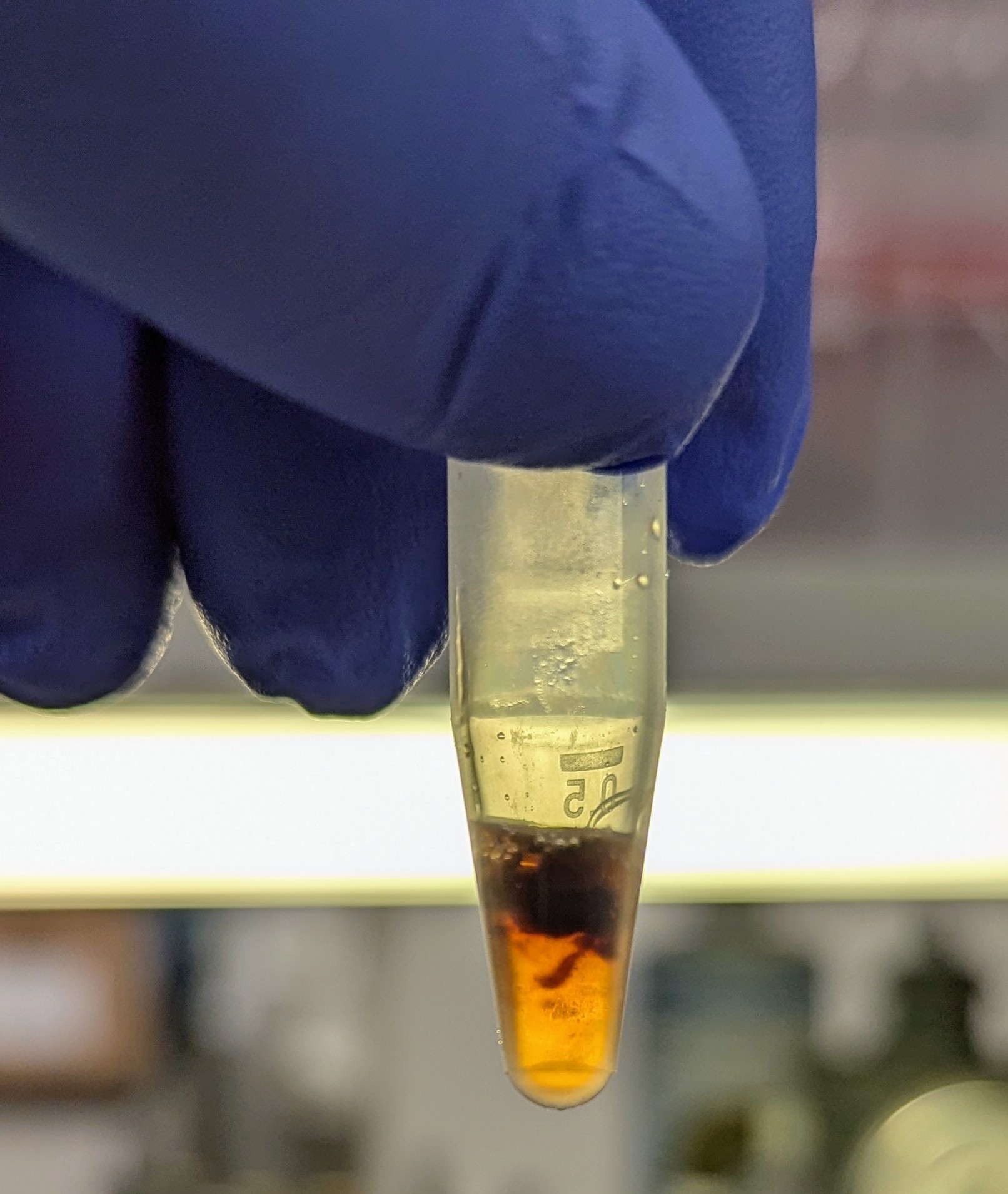 Blood after resuspension in DNA/RNA Shield results in a gelatinous clot.