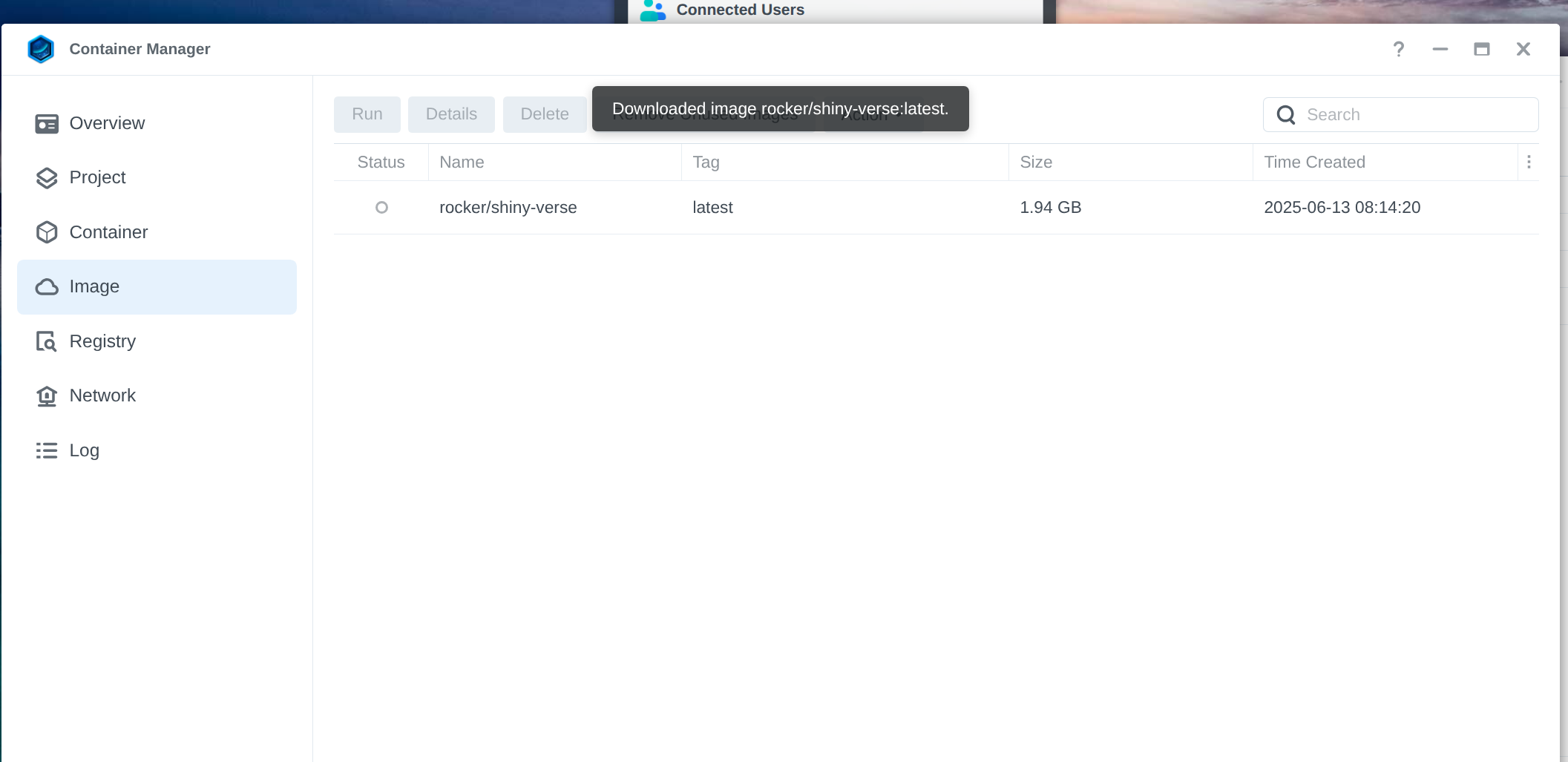 Selection of the Rocker image for Shiny Server in Synology Container Manager. Highlights the chosen image for deployment.