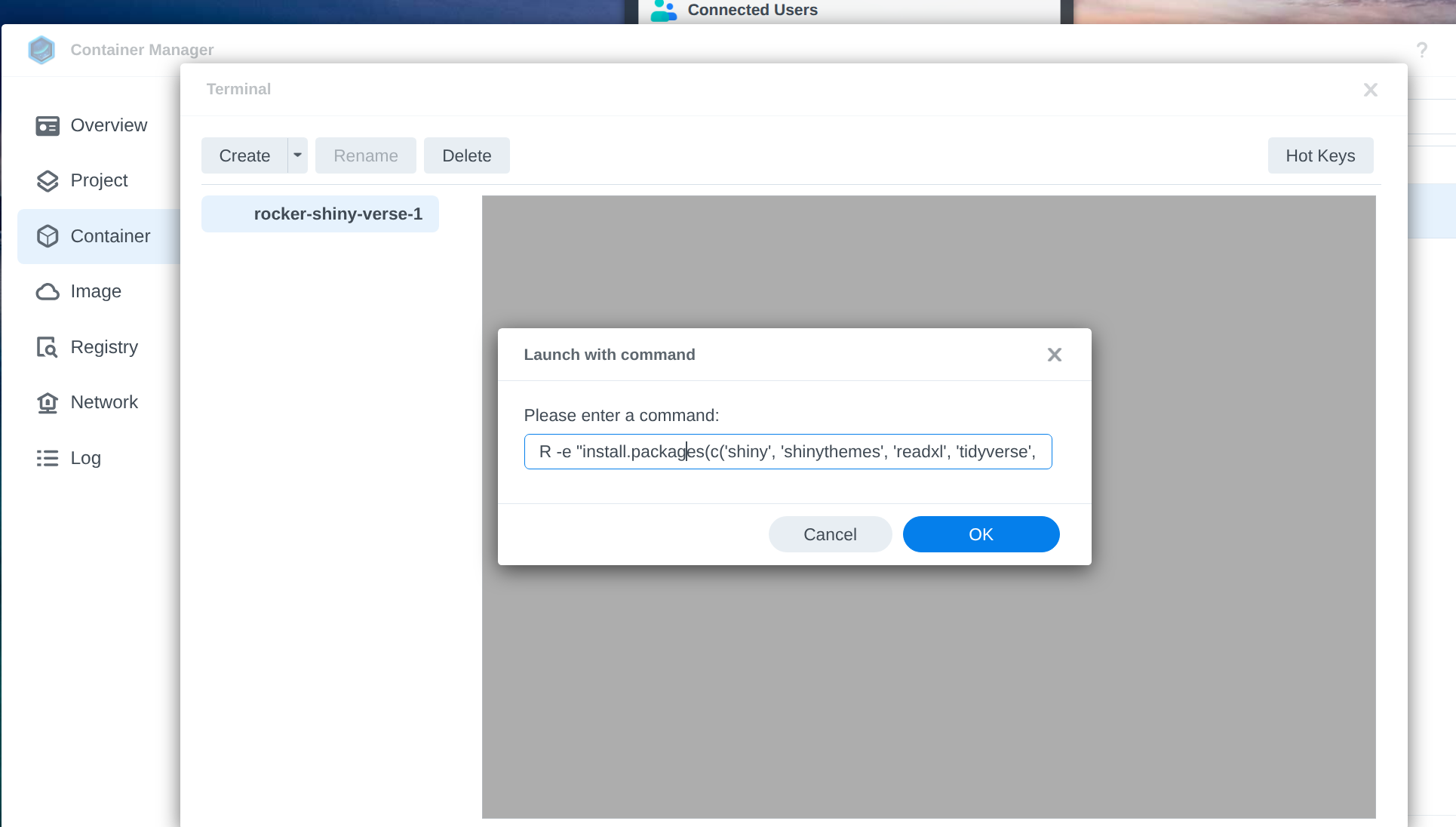 R terminal command for installing required packages. Shows the command input in the container terminal.