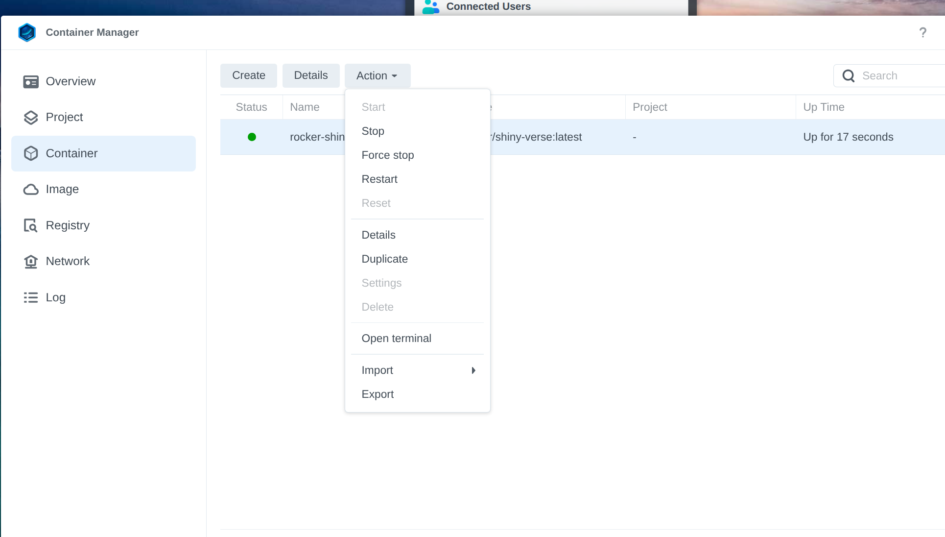 Opening a terminal session in the running container. Prepares for R package installation.