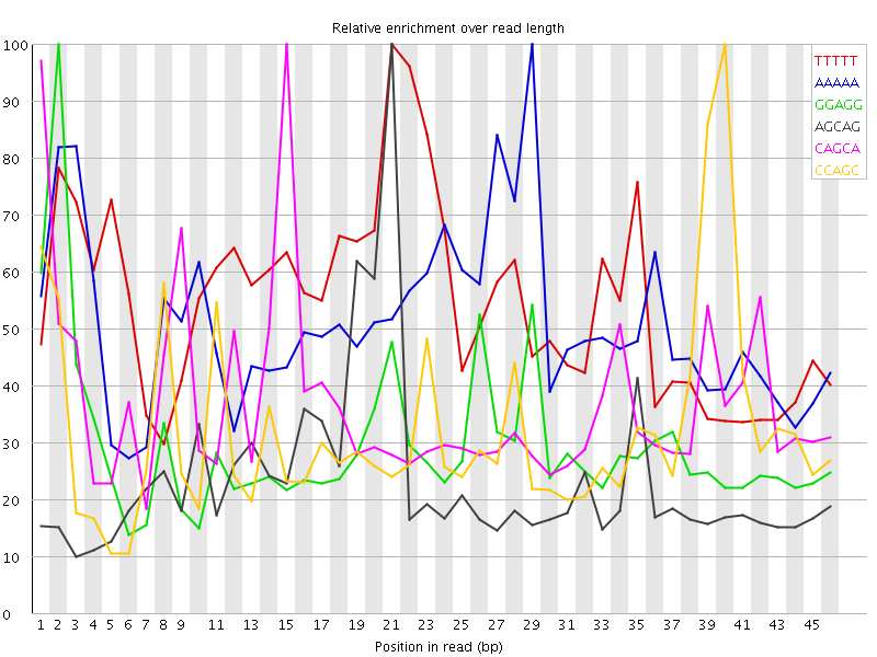 Kmer graph