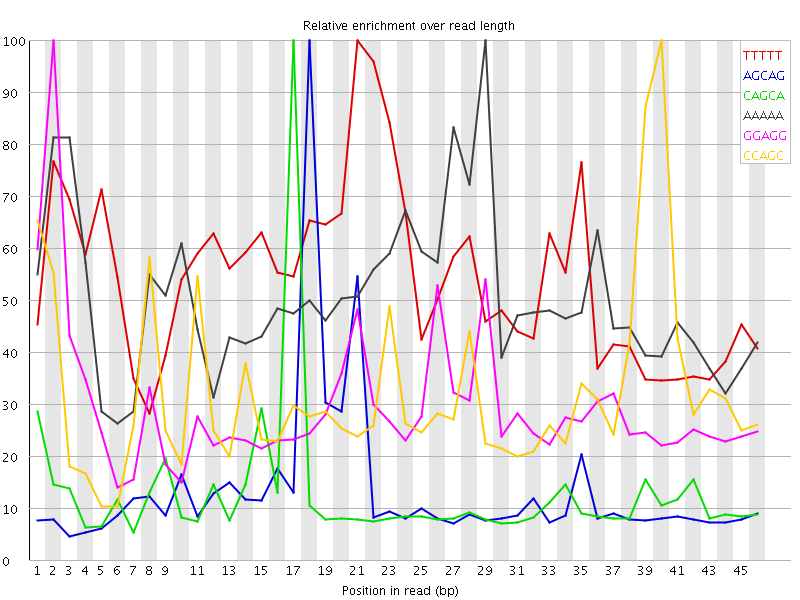 Kmer graph