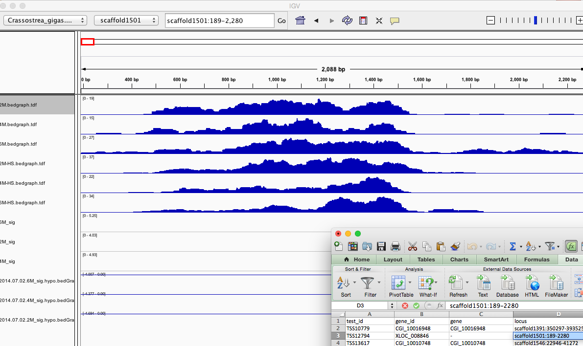 splicing_diff_and_IGV_and_Fibrocystin-L_-_Google_Search_and_splicing_diff_1AD2E02E.png