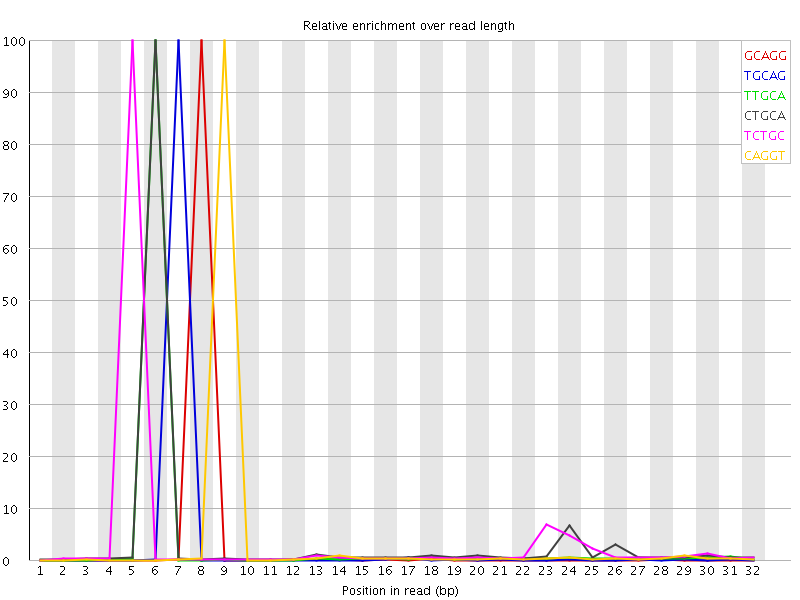 Kmer graph